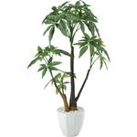 629K90 パキラポットL アートクリエーション