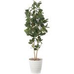 パンの木 アートクリエーション