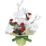 64A30 ブライトコチョウラン アートクリエーション