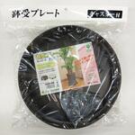 鉢受プレート グリーンパル