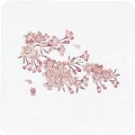 和風コースター 角(50枚入)桜 アーテック[和紙]