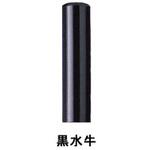 【名入れ】黒水牛実印 ハンコ・印鑑のオーダー ノーブランド