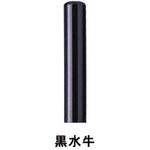 【名入れ】銀行印 ハンコ・印鑑のオーダー ノーブランド