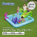 ファンタスティックアクアリウム プレイセンター Bestway