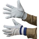 牛床革手袋 背抜き B級 ACE GLOVE(エースグローブ)
