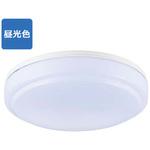 LED内玄関灯 昼光色 オーム電機
