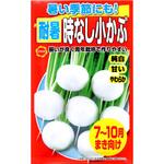 【種 たね タネ】暑い季節にも! 耐暑時なし 小 かぶ アタリヤ農園