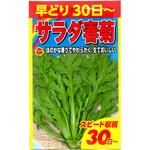 【種 たね タネ】早どり サラダ 春菊 アタリヤ農園