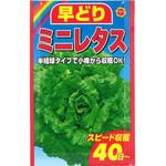 【種 たね タネ】早どり ミニ レタス アタリヤ農園