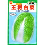 【種 たね タネ】タキイ交配 王将 白菜 はくさい アタリヤ農園