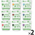 レスキューライス 9種 8年保存 アルファ化米 EVERSAFE