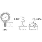 ドブ アイボルト 3分×50 東京富士商会