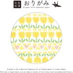 箱入り美濃和紙おりがみ D 古川紙工