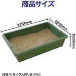 恐竜探しイベントセット アーテック[学校教材・教育玩具]
