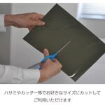 マグナビュワーシート クラリス マグナ