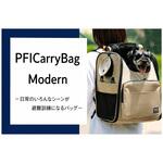 PFI Carry Bag Modern カンボウプラス
