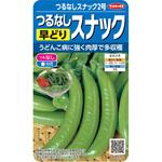 つるなし早どりスナックエンドウ スナック2号 実咲