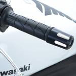 Bar End R&G RACING PRODUCTS