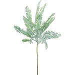 FG -5195 ファーンショート 横浜ディスプレイミュージアム