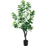 GLP-1537 アポロゴム 横浜ディスプレイミュージアム