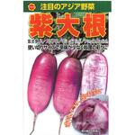 【種 たね タネ】注目のアジア野菜 紫 大根 だいこん アタリヤ農園