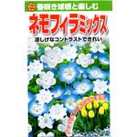【種 たね タネ】春咲き球根と楽しむ ネモフィラ ミックス アタリヤ農園