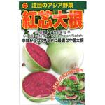 【種 たね タネ】注目のアジア野菜 紅芯 大根 だいこん アタリヤ農園