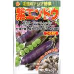 【種 たね タネ】注目のアジア野菜 紫 エンドウ えんどう アタリヤ農園