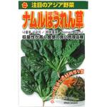 【種 たね タネ】注目のアジア野菜 ナムル ほうれん草 アタリヤ農園