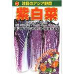 【種 たね タネ】注目のアジア野菜 紫 白菜 はくさい アタリヤ農園