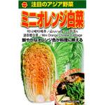【種 たね タネ】注目のアジア野菜 ミニオレンジ 白菜 はくさい アタリヤ農園