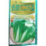 【種 たね タネ】甘い万能 白菜 感動 てごろ菜 はくさい アタリヤ農園