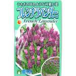 【種 たね タネ】フレンチラベンダー ローズ アタリヤ農園