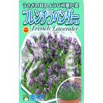 【種 たね タネ】フレンチラベンダー パープル アタリヤ農園