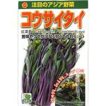 【種 たね タネ】注目のアジア野菜 コウサイタイ アタリヤ農園