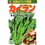 【種 たね タネ】注目のアジア野菜 カイラン アタリヤ農園