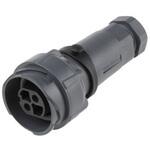 PXP7011/02S/ST/1113 Bulgin 丸型コネクタ， 2極， ケーブルマウント， PXP7011/02S/ST/1113 BULGIN