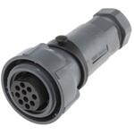 PXP7010/10S/CR/0911 Bulgin 丸型コネクタ， 10極， ケーブルマウント， PXP7010/10S/CR/0911 BULGIN