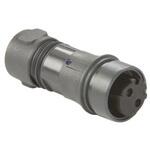 PXP6011/02S/ST/0507 Bulgin 丸型コネクタ， 2極， ケーブルマウント， PXP6011/02S/ST/0507 BULGIN