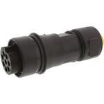 PXP6011/08S/CR/0709 Bulgin 丸型コネクタ， 8極， ケーブルマウント， PXP6011/08S/CR/0709 BULGIN