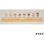 減数分裂模型D アズワン