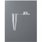PCR-FC-2-C PCR用シングルチューブ フラットキャップ 0.2mL 1000本入 AGB