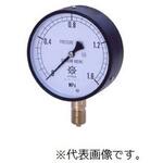 0354-02-0021245 IPT一般圧力計 AS1/2-100：30MPA 第一計器
