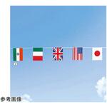 61-436-56-1 万国旗8連 アズワン