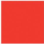 6300023681 ニューカラーボード 蛍光レッド 5mm厚 A3判 素板 BP-5CB-A3-FR バラ売り トレード