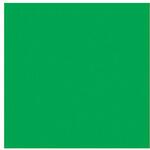 6300023647 ニューカラーボード グリーン 5mm厚 A2判 素板 BP-5CB-A2-GR バラ売り トレード