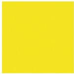 6300023541 ニューカラーボード 蛍光イエロー 5mm厚 B1判 素板 BP-5CB-B1-FY バラ売り トレード