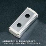 CDB-312Q SBOX4530穴3ケ等Φ17.8/2点 SUS(エスユーエス)