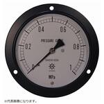 0354-02-0040730 IPT一般圧力計 DU3/8-100：1MPA 第一計器