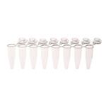 230461 PCR 8-ストリップチューブ 0.2mL 分離可能 フラットキャップ付 透明 1箱 120個入 Celltreat